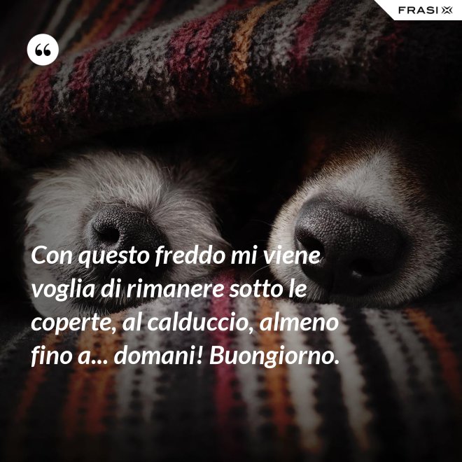 Con questo freddo mi viene voglia di rimanere sotto le coperte, al calduccio, almeno fino a... domani! Buongiorno. - Anonimo
