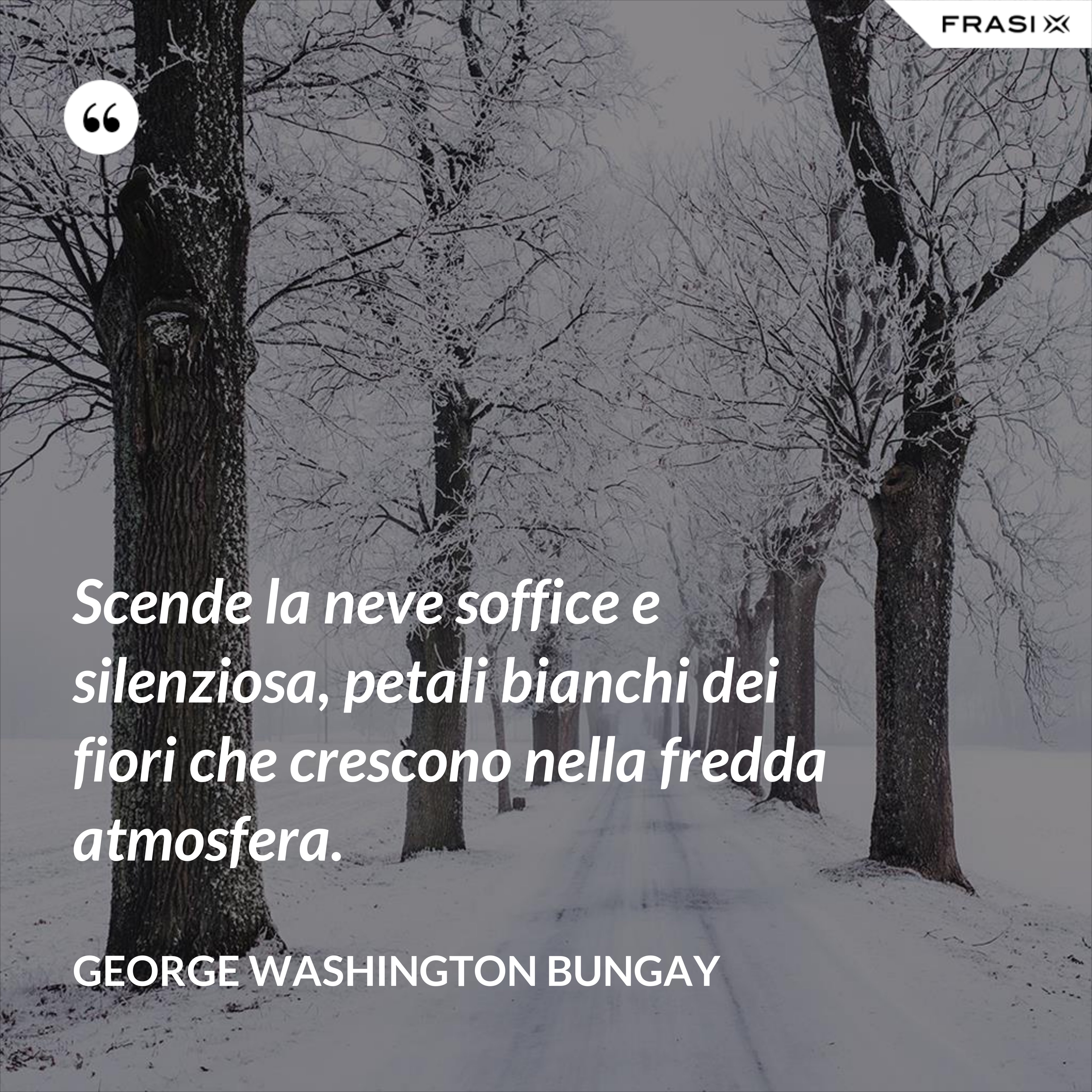 Scende la neve soffice e silenziosa, petali bianchi dei fiori che crescono nella fredda atmosfera. - George Washington Bungay