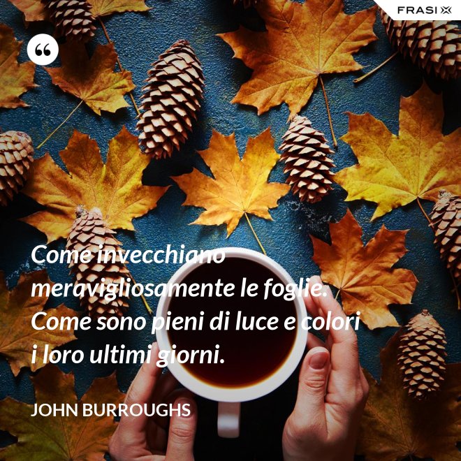 Come invecchiano meravigliosamente le foglie. Come sono pieni di luce e colori i loro ultimi giorni. - John Burroughs