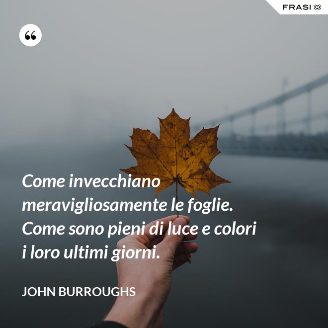 Come invecchiano meravigliosamente le foglie. Come sono pieni di luce e colori i loro ultimi giorni. - John Burroughs