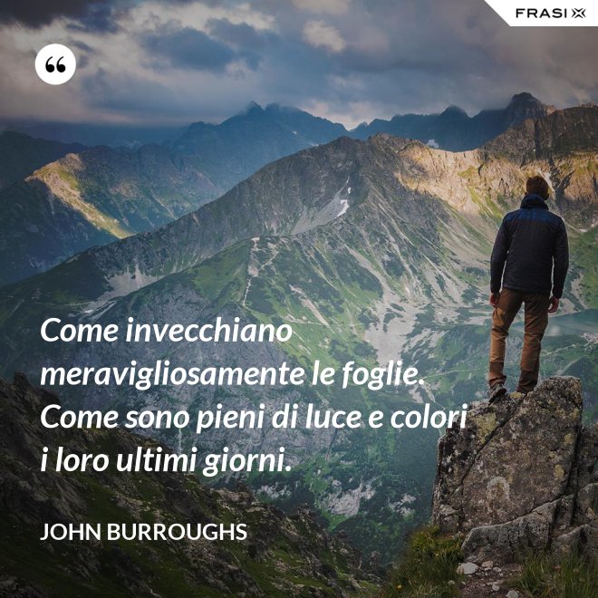 Come invecchiano meravigliosamente le foglie. Come sono pieni di luce e colori i loro ultimi giorni. - John Burroughs