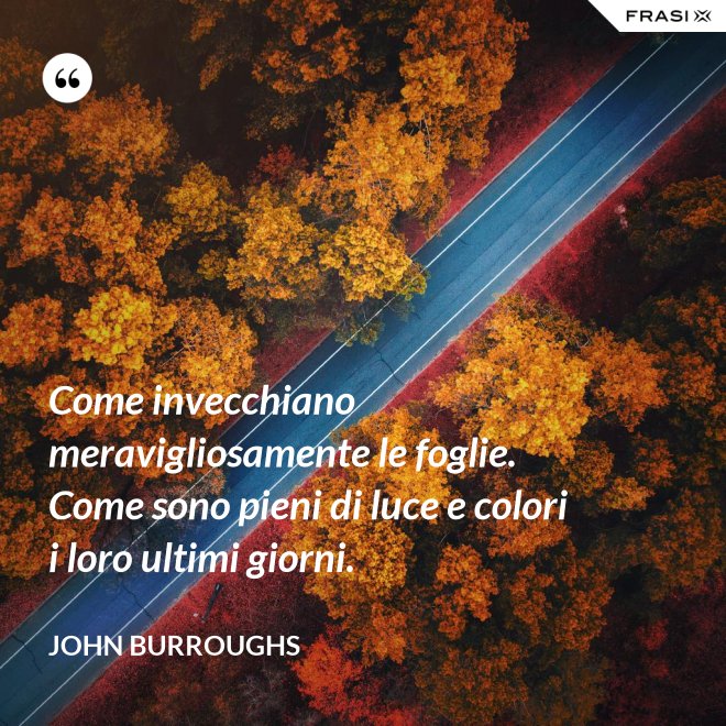 Come invecchiano meravigliosamente le foglie. Come sono pieni di luce e colori i loro ultimi giorni. - John Burroughs
