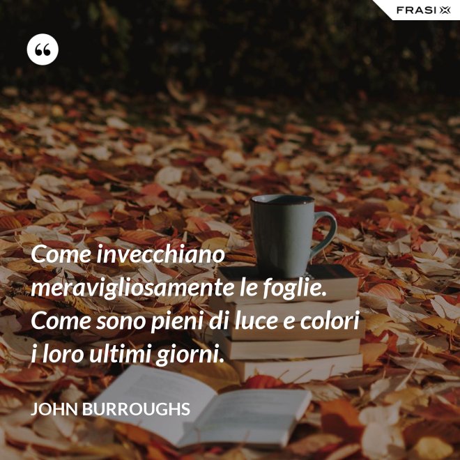 Come invecchiano meravigliosamente le foglie. Come sono pieni di luce e colori i loro ultimi giorni. - John Burroughs