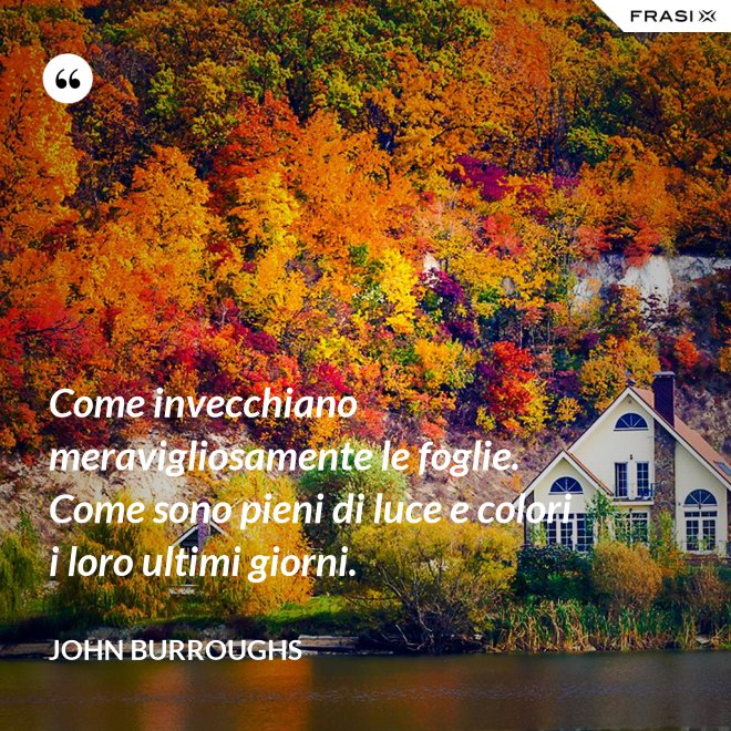 Come invecchiano meravigliosamente le foglie. Come sono pieni di luce e colori i loro ultimi giorni. - John Burroughs
