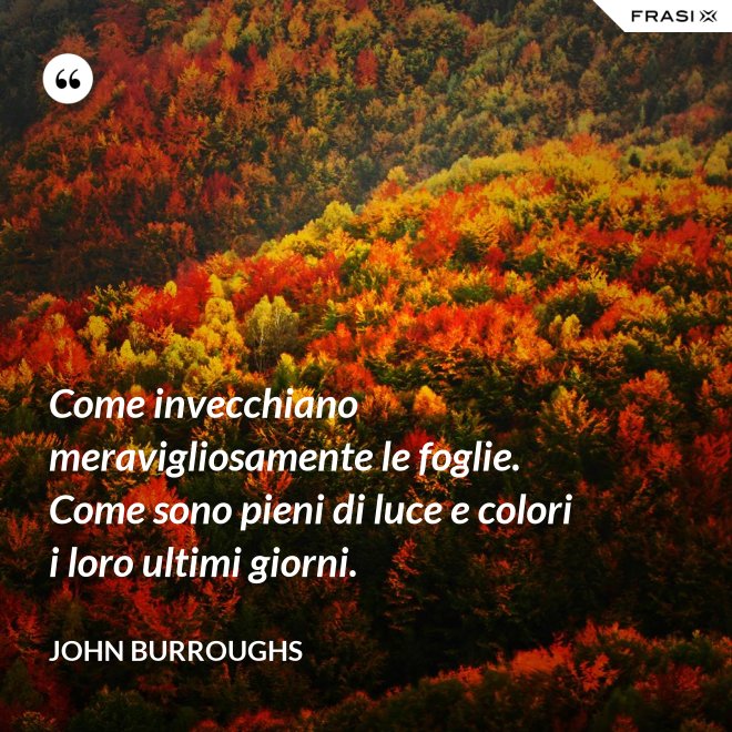 Come invecchiano meravigliosamente le foglie. Come sono pieni di luce e colori i loro ultimi giorni. - John Burroughs