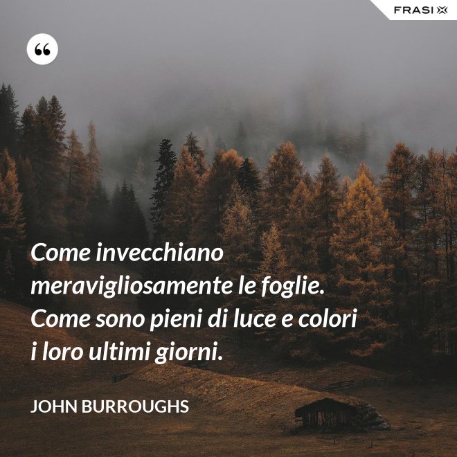 Come invecchiano meravigliosamente le foglie. Come sono pieni di luce e colori i loro ultimi giorni. - John Burroughs