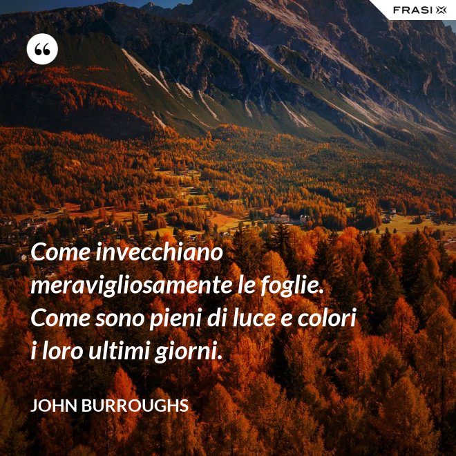 Come invecchiano meravigliosamente le foglie. Come sono pieni di luce e colori i loro ultimi giorni. - John Burroughs
