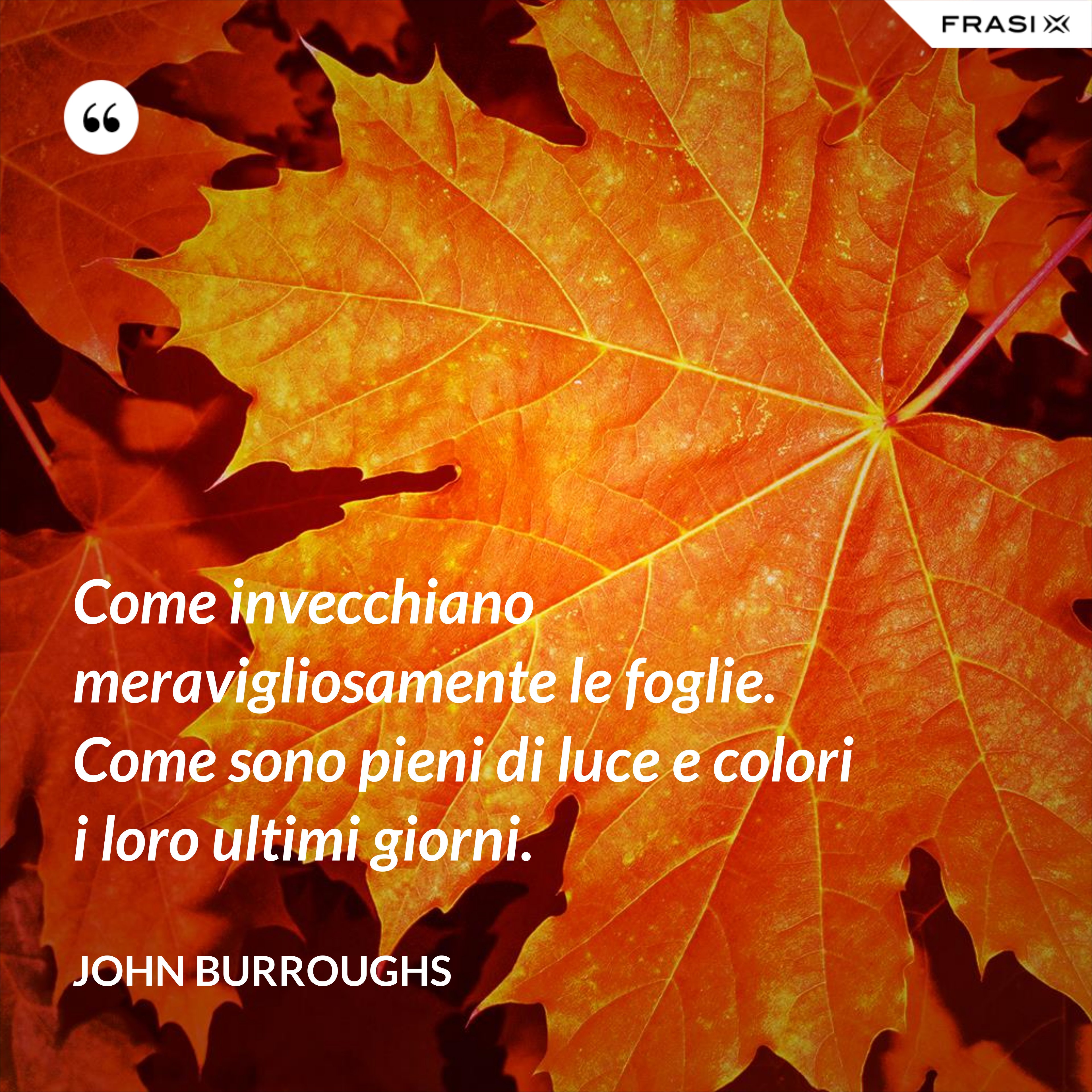 Come invecchiano meravigliosamente le foglie. Come sono pieni di luce e colori i loro ultimi giorni. - John Burroughs