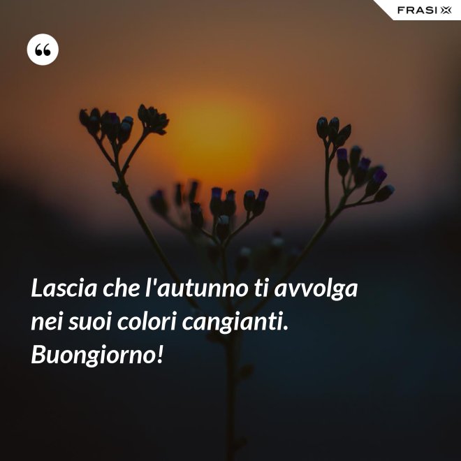 Lascia che l'autunno ti avvolga nei suoi colori cangianti. Buongiorno! - Anonimo