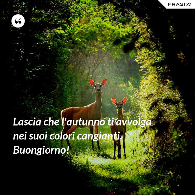Lascia che l'autunno ti avvolga nei suoi colori cangianti. Buongiorno! - Anonimo