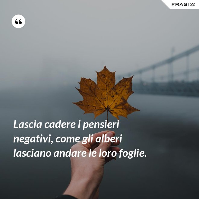 Lascia cadere i pensieri negativi, come gli alberi lasciano andare le loro foglie. - Anonimo
