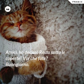 Amici, ho deciso! Resto sotto le coperte! Voi che fate? Buongiorno. - Anonimo