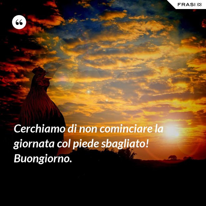 Cerchiamo di non cominciare la giornata col piede sbagliato! Buongiorno. - Anonimo