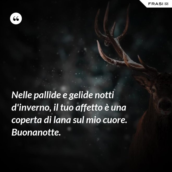 Nelle pallide e gelide notti d'inverno, il tuo affetto è una coperta di lana sul mio cuore. Buonanotte. - Anonimo