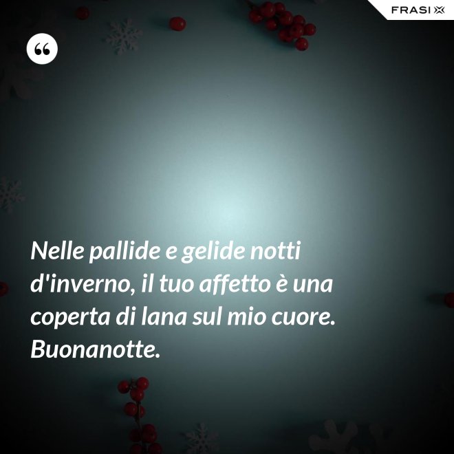 Nelle pallide e gelide notti d'inverno, il tuo affetto è una coperta di lana sul mio cuore. Buonanotte. - Anonimo