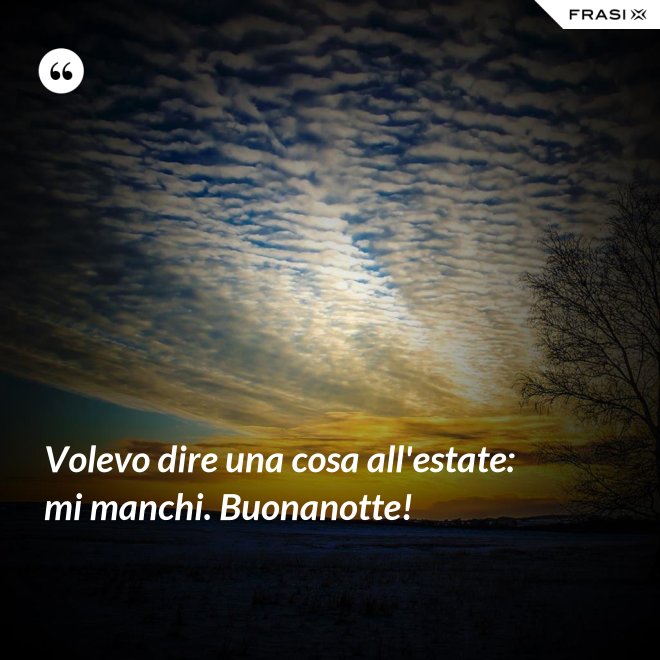 Volevo dire una cosa all'estate: mi manchi. Buonanotte! - Anonimo