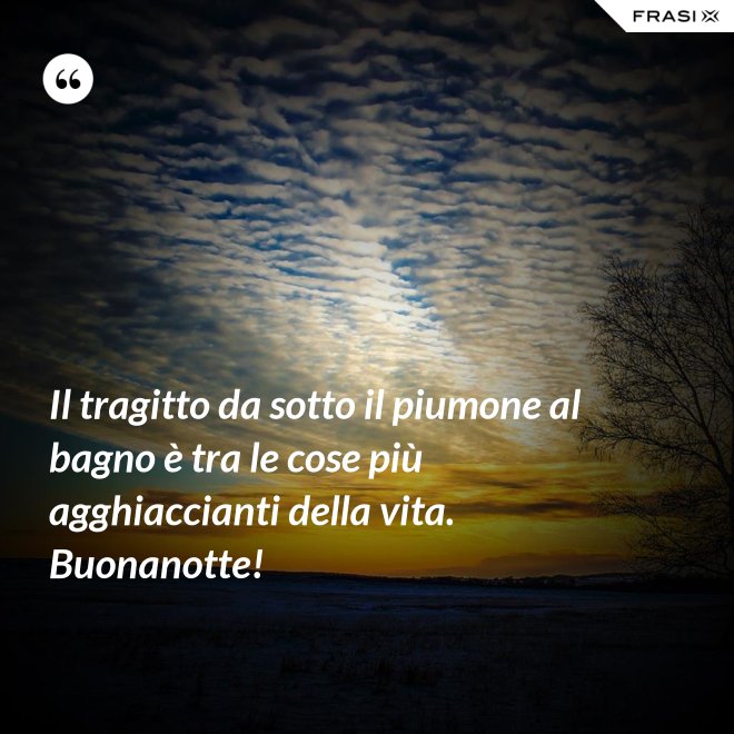 Il tragitto da sotto il piumone al bagno è tra le cose più agghiaccianti della vita. Buonanotte! - Anonimo