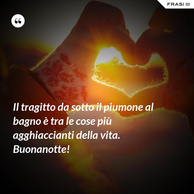 Il tragitto da sotto il piumone al bagno è tra le cose più agghiaccianti della vita. Buonanotte! - Anonimo