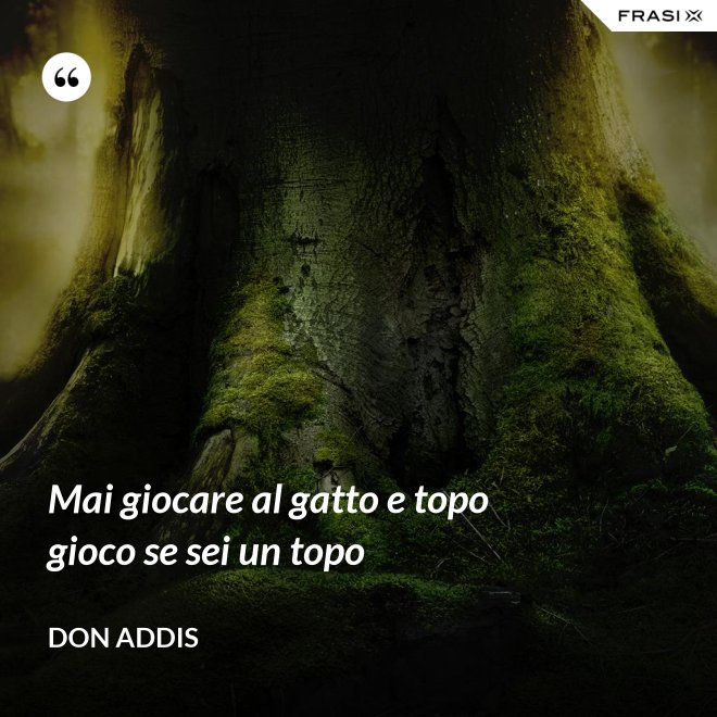 Mai giocare al gatto e topo gioco se sei un topo - Don Addis