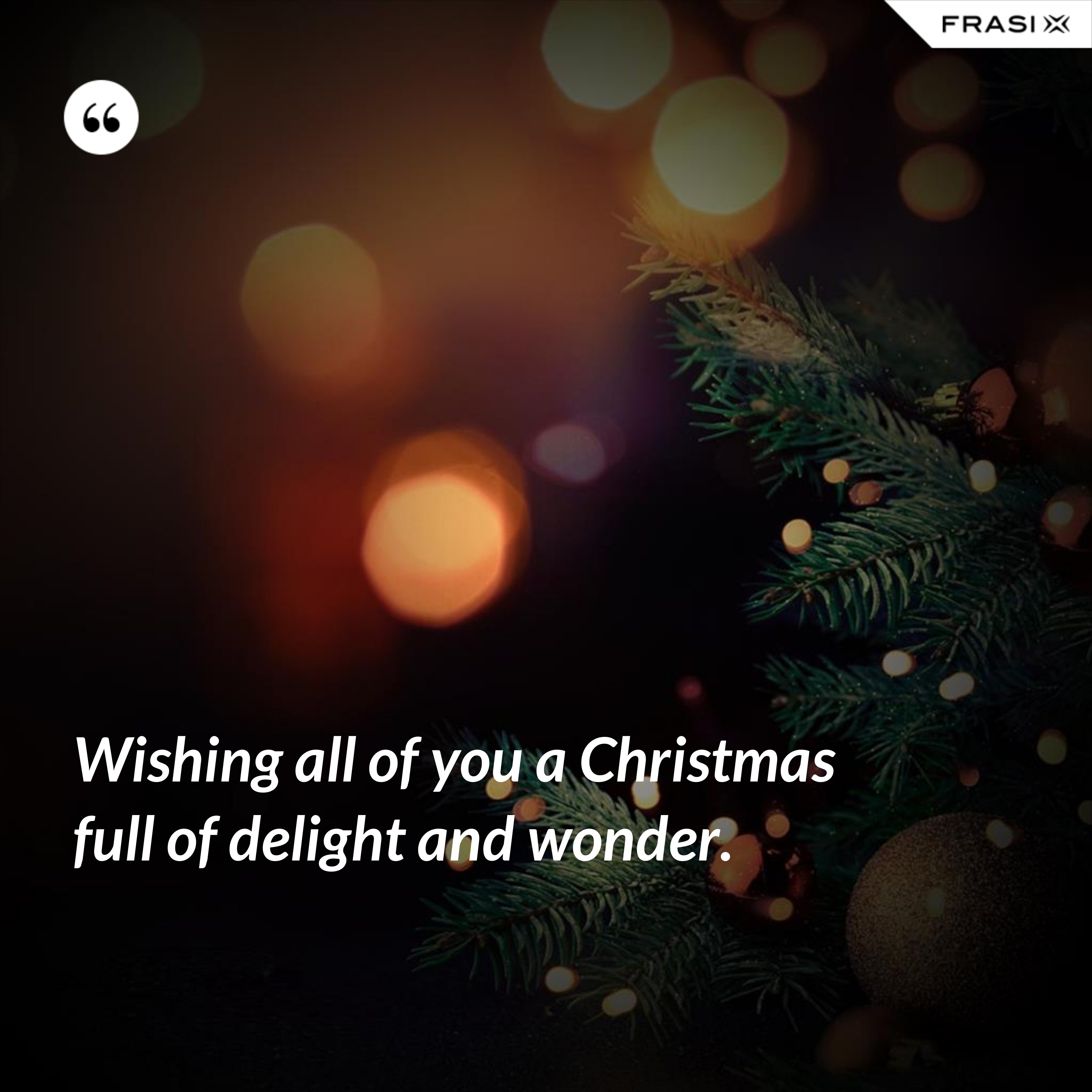 Wishing all of you a Christmas full of delight and wonder. - Anonimo