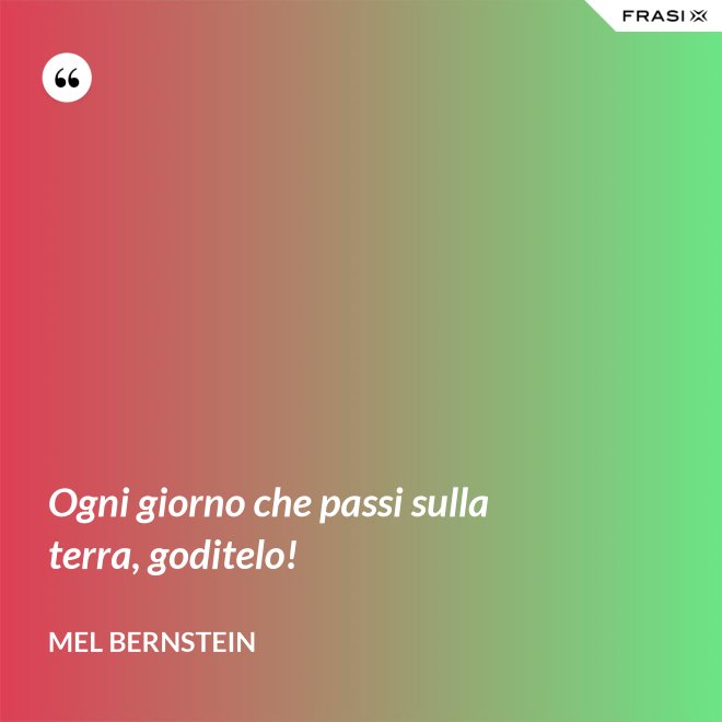 Ogni giorno che passi sulla terra, goditelo! - Mel Bernstein