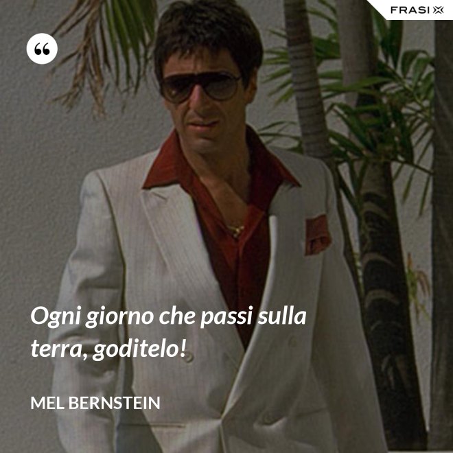 Ogni giorno che passi sulla terra, goditelo! - Mel Bernstein