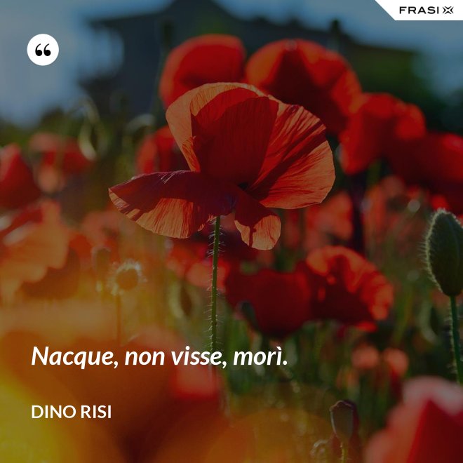 Nacque, non visse, morì. - Dino Risi