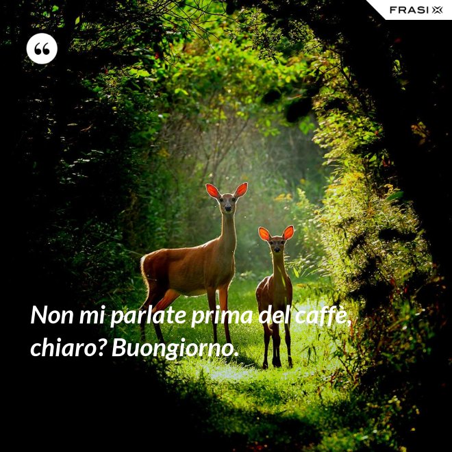 Non mi parlate prima del caffè, chiaro? Buongiorno. - Anonimo