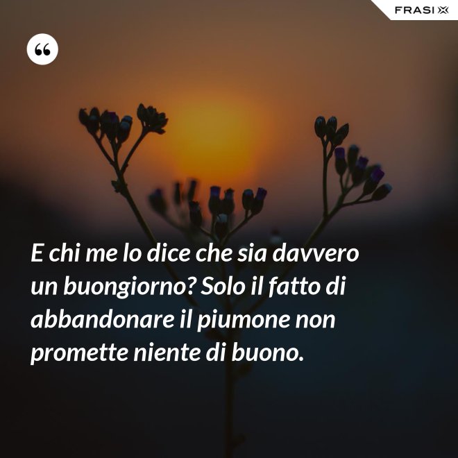 E chi me lo dice che sia davvero un buongiorno? Solo il fatto di abbandonare il piumone non promette niente di buono. - Anonimo
