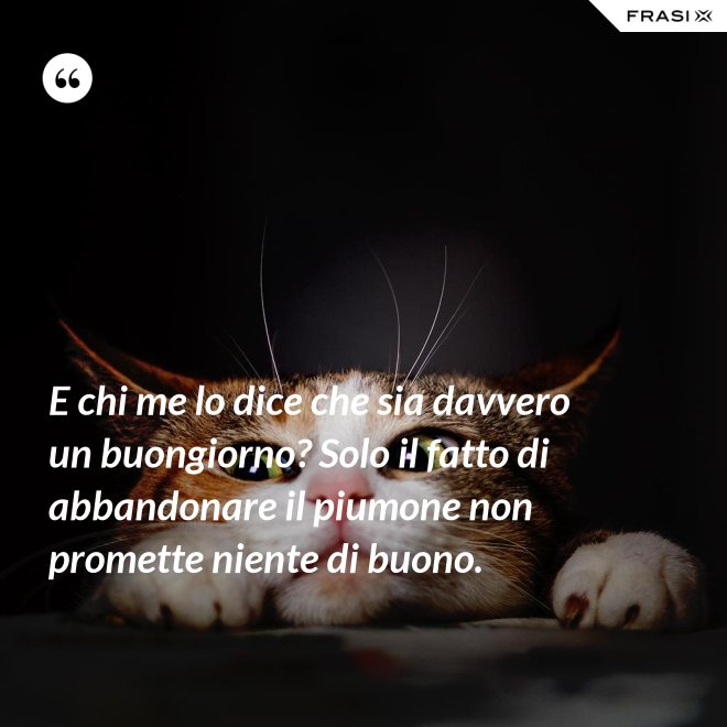 E chi me lo dice che sia davvero un buongiorno? Solo il fatto di abbandonare il piumone non promette niente di buono. - Anonimo
