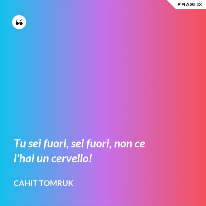 Tu sei fuori, sei fuori, non ce l'hai un cervello! - Cahit Tomruk