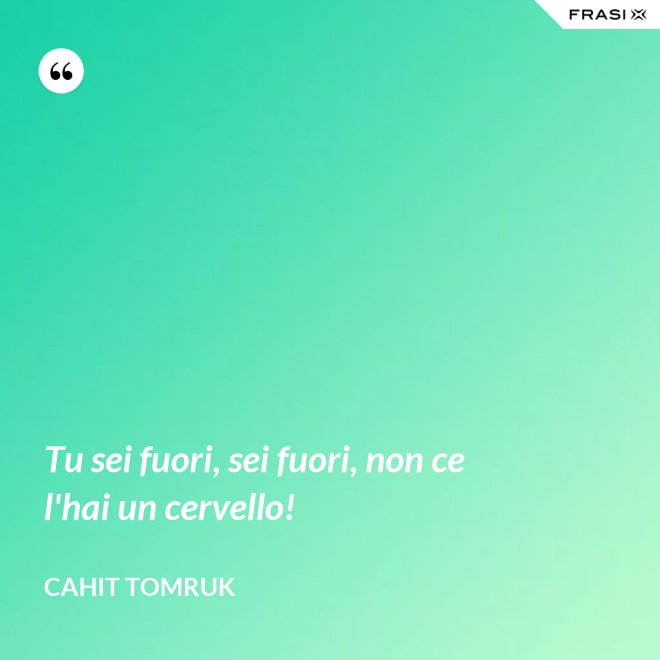 Tu sei fuori, sei fuori, non ce l'hai un cervello! - Cahit Tomruk
