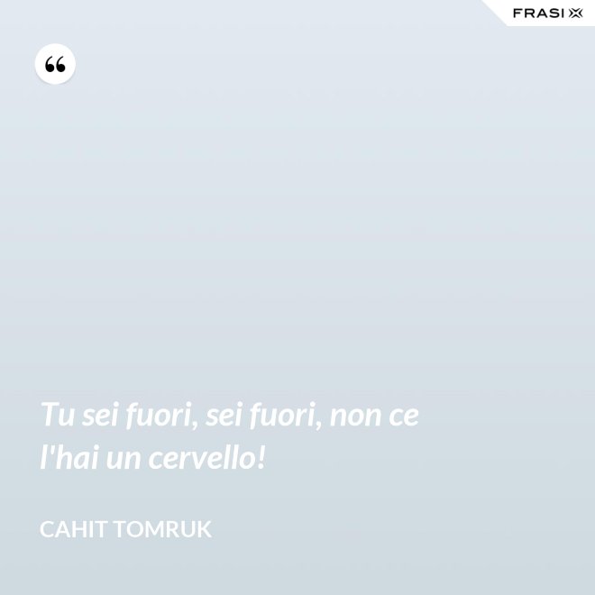 Tu sei fuori, sei fuori, non ce l'hai un cervello! - Cahit Tomruk