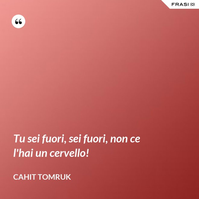 Tu sei fuori, sei fuori, non ce l'hai un cervello! - Cahit Tomruk