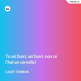 Tu sei fuori, sei fuori, non ce l'hai un cervello! - Cahit Tomruk