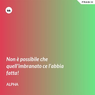 Non è possibile che quell'imbranato ce l'abbia fatta! - Alpha