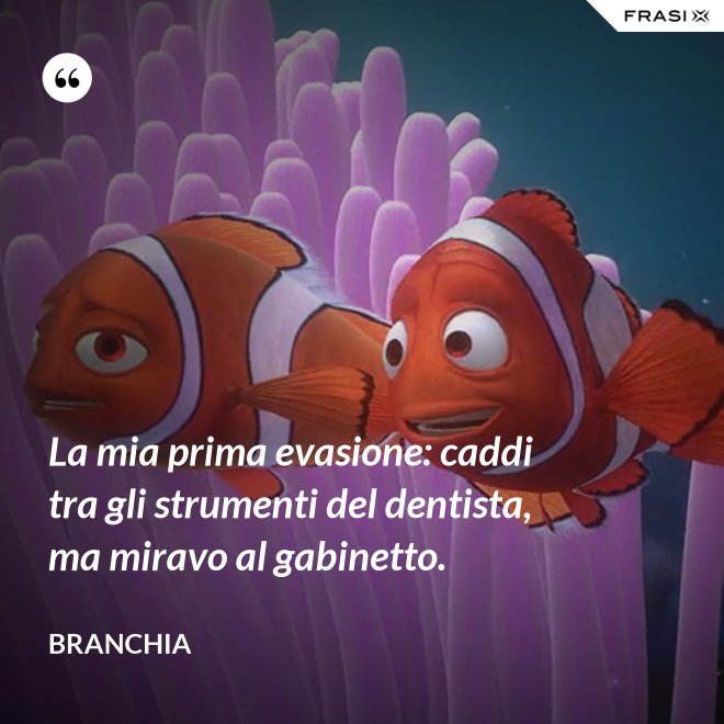 La mia prima evasione: caddi tra gli strumenti del dentista, ma miravo al gabinetto. - Branchia