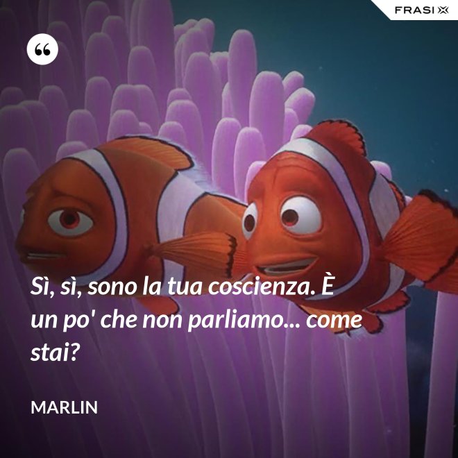 Sì, sì, sono la tua coscienza. È un po' che non parliamo... come stai? - Marlin