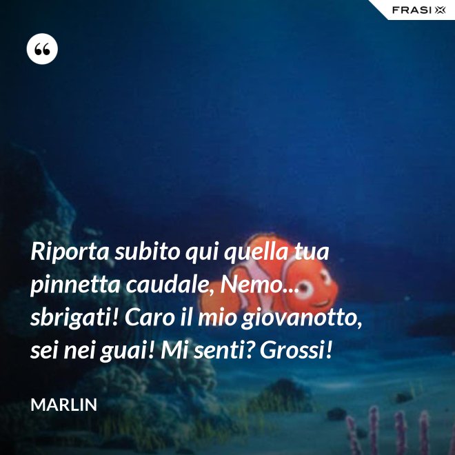 Riporta subito qui quella tua pinnetta caudale, Nemo... sbrigati! Caro il mio giovanotto, sei nei guai! Mi senti? Grossi! - Marlin