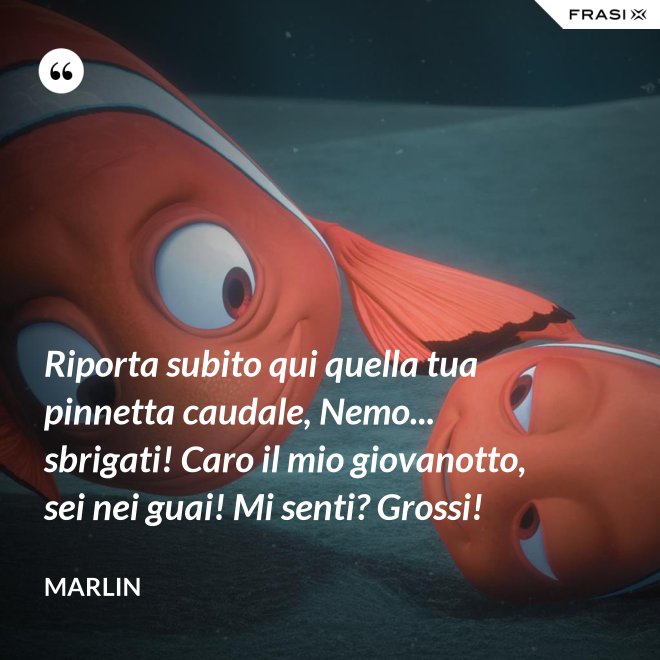 Riporta subito qui quella tua pinnetta caudale, Nemo... sbrigati! Caro il mio giovanotto, sei nei guai! Mi senti? Grossi! - Marlin