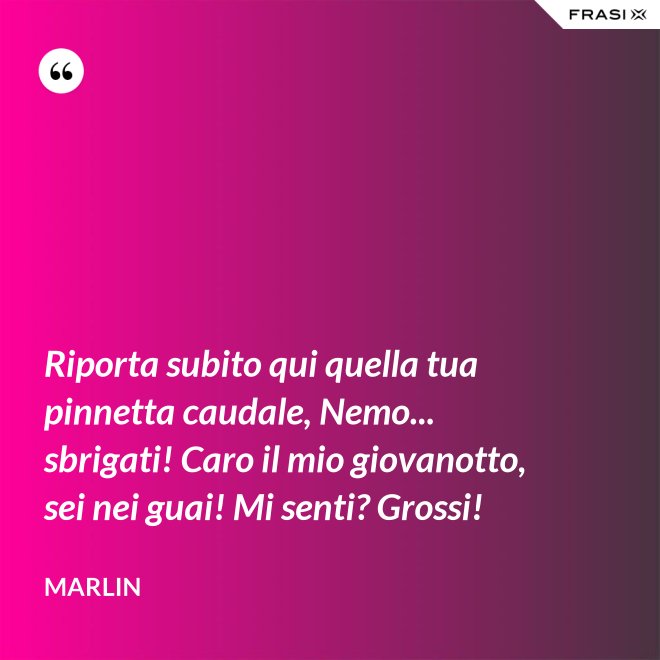 Riporta subito qui quella tua pinnetta caudale, Nemo... sbrigati! Caro il mio giovanotto, sei nei guai! Mi senti? Grossi! - Marlin