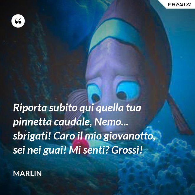 Riporta subito qui quella tua pinnetta caudale, Nemo... sbrigati! Caro il mio giovanotto, sei nei guai! Mi senti? Grossi! - Marlin