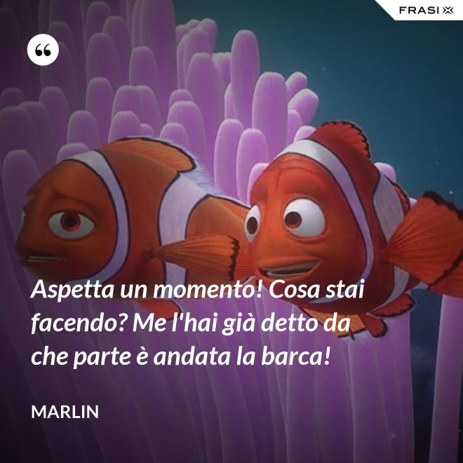 Aspetta un momento! Cosa stai facendo? Me l'hai già detto da che parte è andata la barca! - Marlin