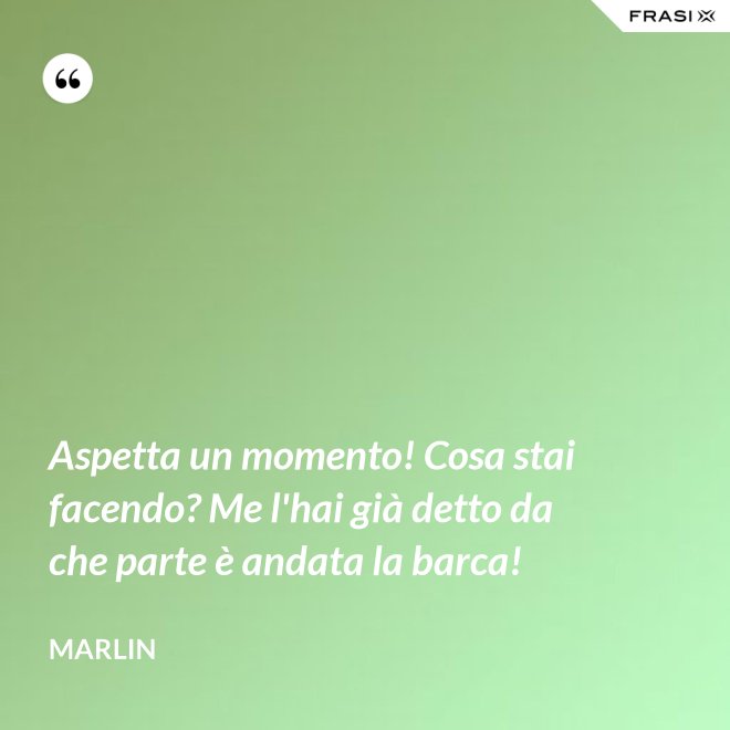 Aspetta un momento! Cosa stai facendo? Me l'hai già detto da che parte è andata la barca! - Marlin