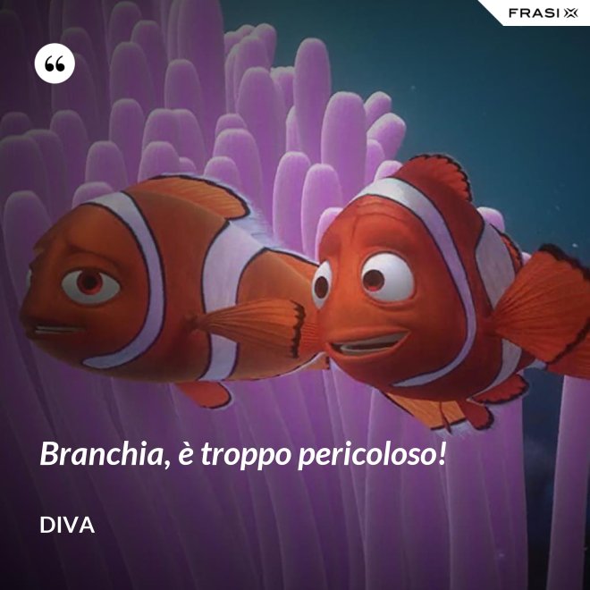 Branchia, è troppo pericoloso! - Diva