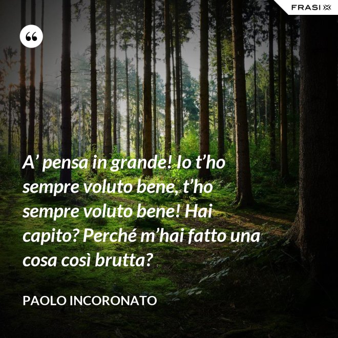 A’ pensa in grande! Io t’ho sempre voluto bene, t’ho sempre voluto bene! Hai capito? Perché m’hai fatto una cosa così brutta? - Paolo Incoronato