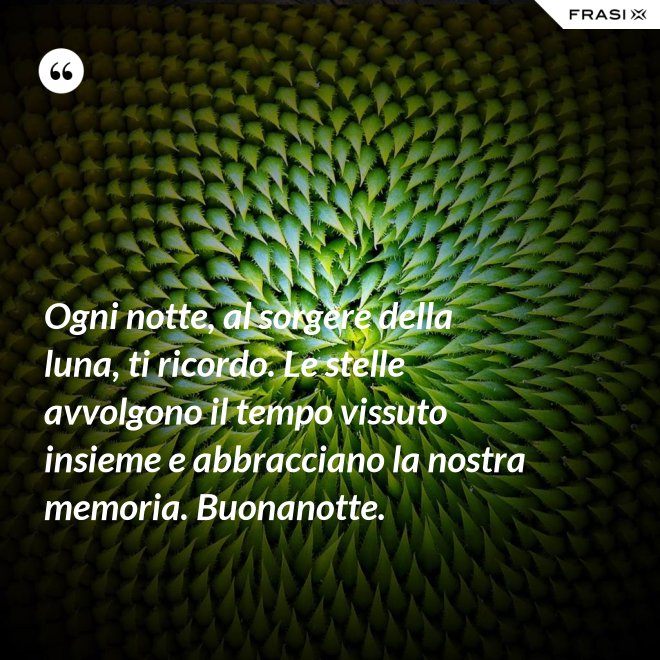 Ogni notte, al sorgere della luna, ti ricordo. Le stelle avvolgono il tempo vissuto insieme e abbracciano la nostra memoria. Buonanotte. - Anonimo