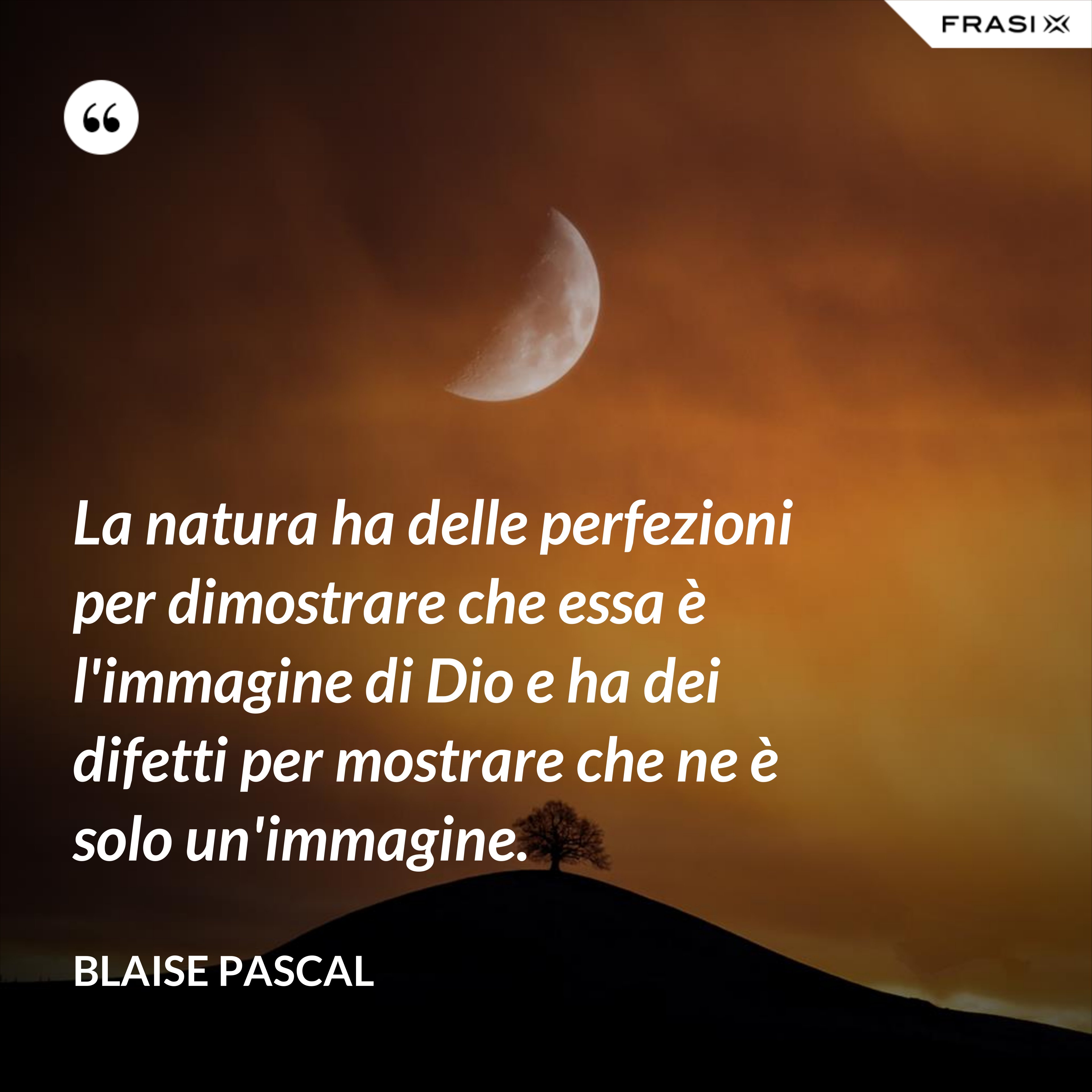 La natura ha delle perfezioni per dimostrare che essa è l'immagine di Dio e ha dei difetti per mostrare che ne è solo un'immagine. - Blaise Pascal