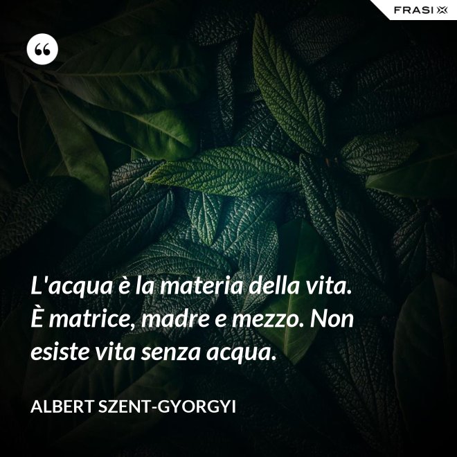 L'acqua è la materia della vita. È matrice, madre e mezzo. Non esiste vita senza acqua. - Albert Szent-Gyorgyi