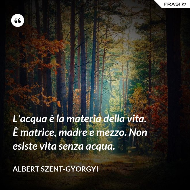 L'acqua è la materia della vita. È matrice, madre e mezzo. Non esiste vita senza acqua. - Albert Szent-Gyorgyi